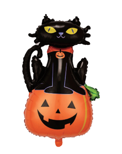 Black cat Pumpkin