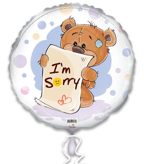 I am Sorry Teddy Bear